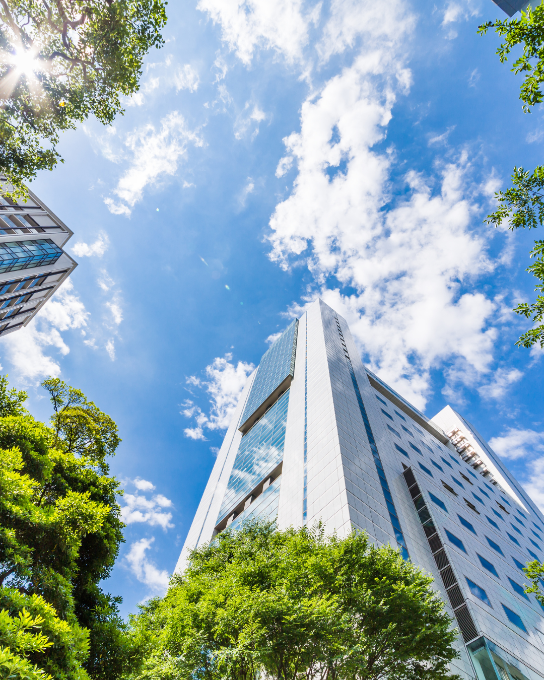 Valérie Gendry experte en rayonnement professionnel - coaching individuel